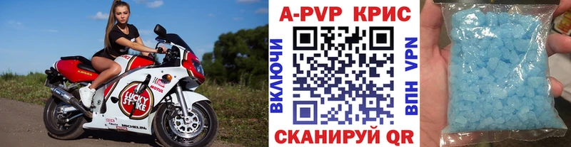 мориарти Telegram Брюховецкая Alfa_PVP VHQ