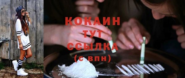 тгк Няндома