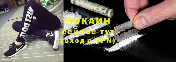 тгк Няндома