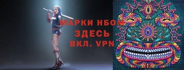 тгк Няндома