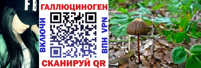 shop какой сайт  гидра как зайти  Брюховецкая  купить закладку  Псилоцибиновые грибы мицелий 