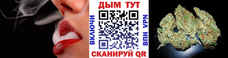 Бошки марихуана гибрид  Брюховецкая 